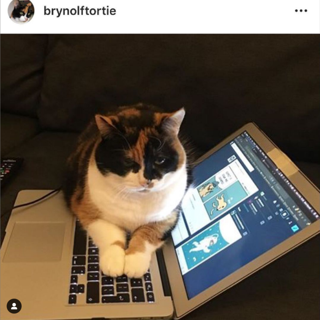 Selma sitting on Binni's laptop